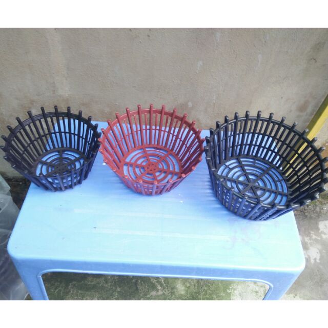 Chậu nhựa nan trồng hoa lan