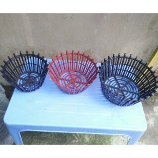 Chậu nhựa nan trồng hoa lan