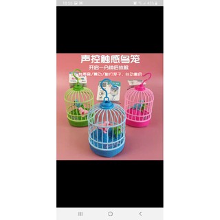 Đồ chơi lồng chim phát nhạc