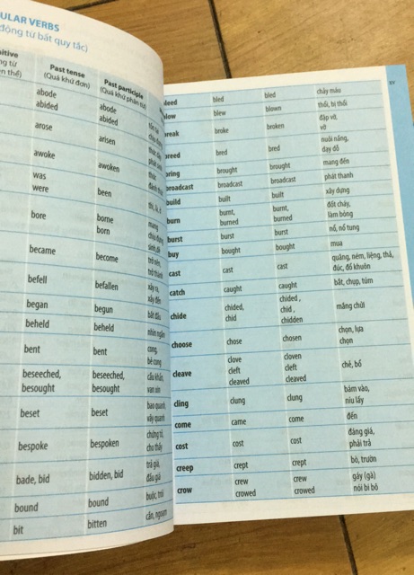 Sách Từ điển Anh việt dành cho học sinh - 8935246917749