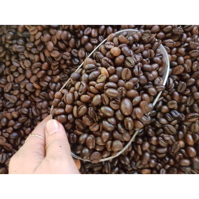 Cà phê Robusta+Moka – Số 17🌺🌺Free Ship🌺🌺[GU ĐEN ĐÁ CỰC KỲ HẤP DẪN]
