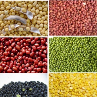 Đậu đỏ hữu cơ 1kg