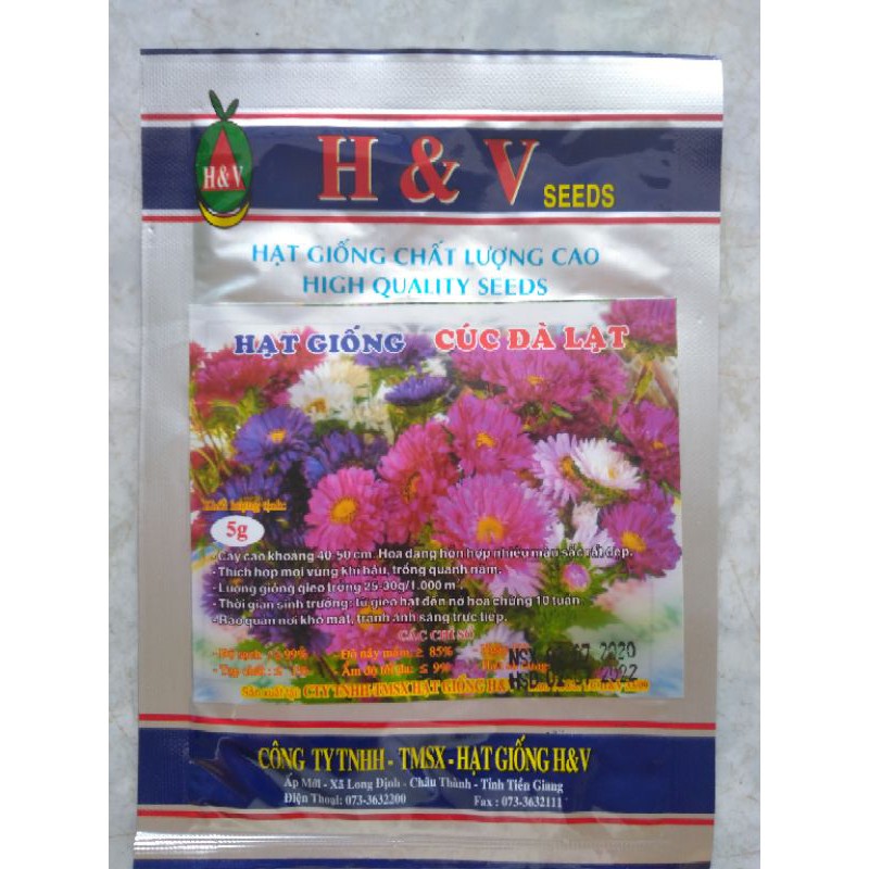 Hạt giống hoa cúc Đà Lạt 5gr