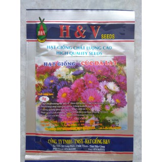 Hạt giống hoa cúc Đà Lạt 5gr