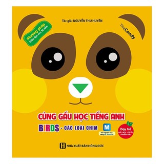 Sách - Cùng Gấu Học Tiếng Anh