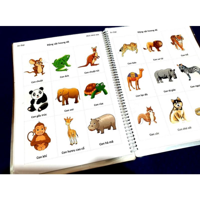 Học liệu tổng hợp từ vựng cơ bản