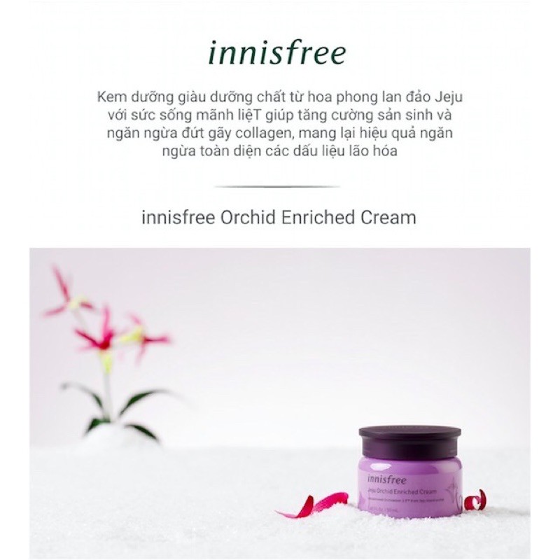 [Auth] Kem dưỡng da INNISFREE JEJU ORCHID ENRICHED CREAM 50ML