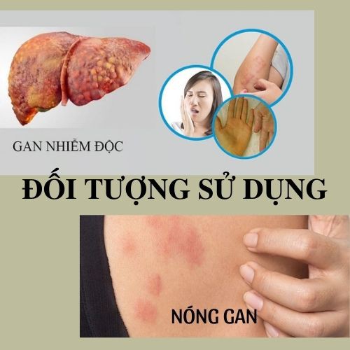 Trà mát gan giải độc Đông y gia truyền Thông cát (Since 1918) _tăng cường hệ miễn dịch, giảm men gan, bảo vệ tế bào gan