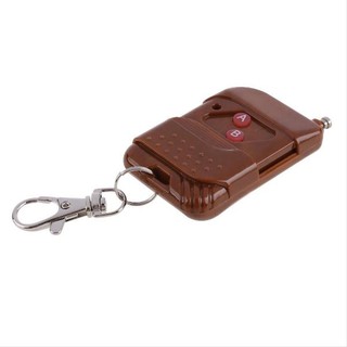 Remote điều khiển từ xa 2 nút