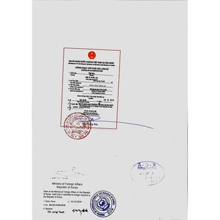 Bột Rửa Mặt Nhân Sâm Mqskin 100g