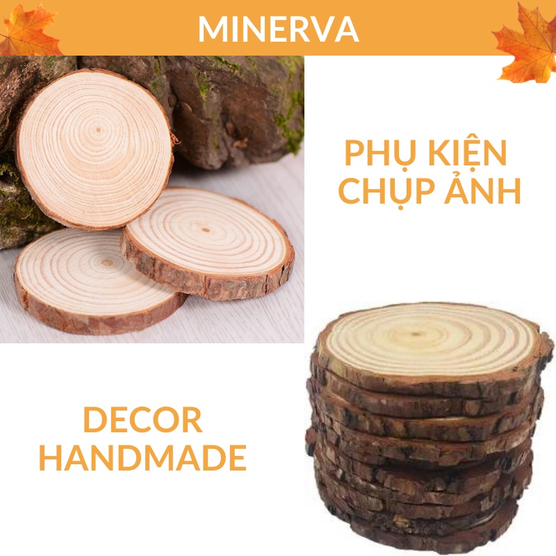 Gỗ lát tròn lớn đường kính  9-11 cm lót ly cốc , phụ kiện trang trí decor