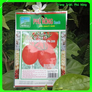 Hạt Giống Cà chua F1 siêu kháng bệnh PN-209 Phú Nông- Gói 0.1gr