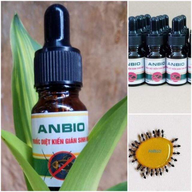 Thuốc diệt kiến gián sinh học Anbio 10ml