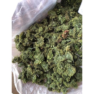 500g hoa tam thất khô
