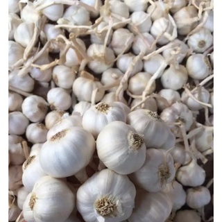  Tỏi tươi Lý Sơn, tăng đề kháng cho mùa dịch, gói 500g