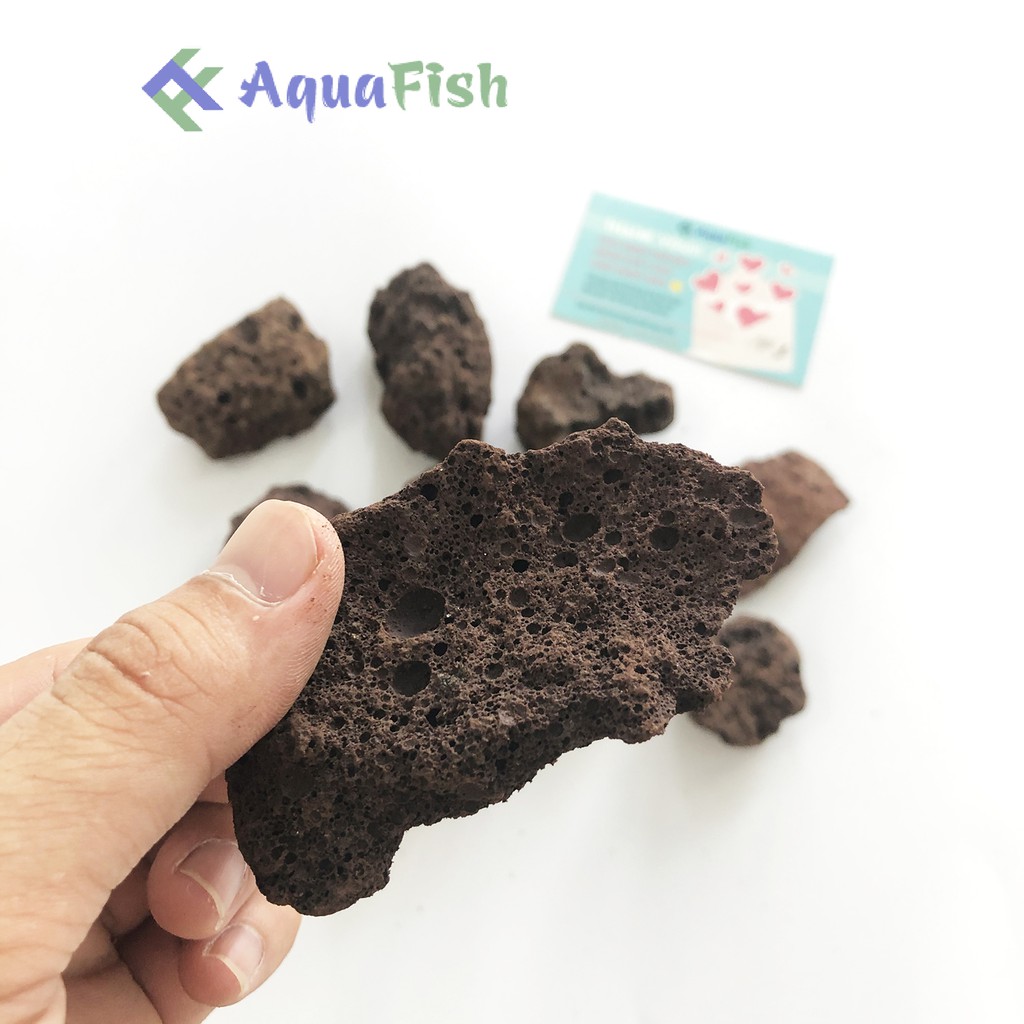 Nham Thạch Trung Quốc Túi 1kg Size To (vật liệu lọc cao cấp, nhẹ, độ xốp rỗng cao)