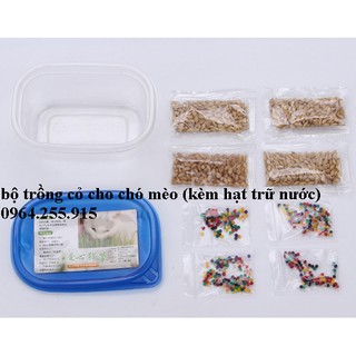 bộ trồng cỏ cho chó mèo