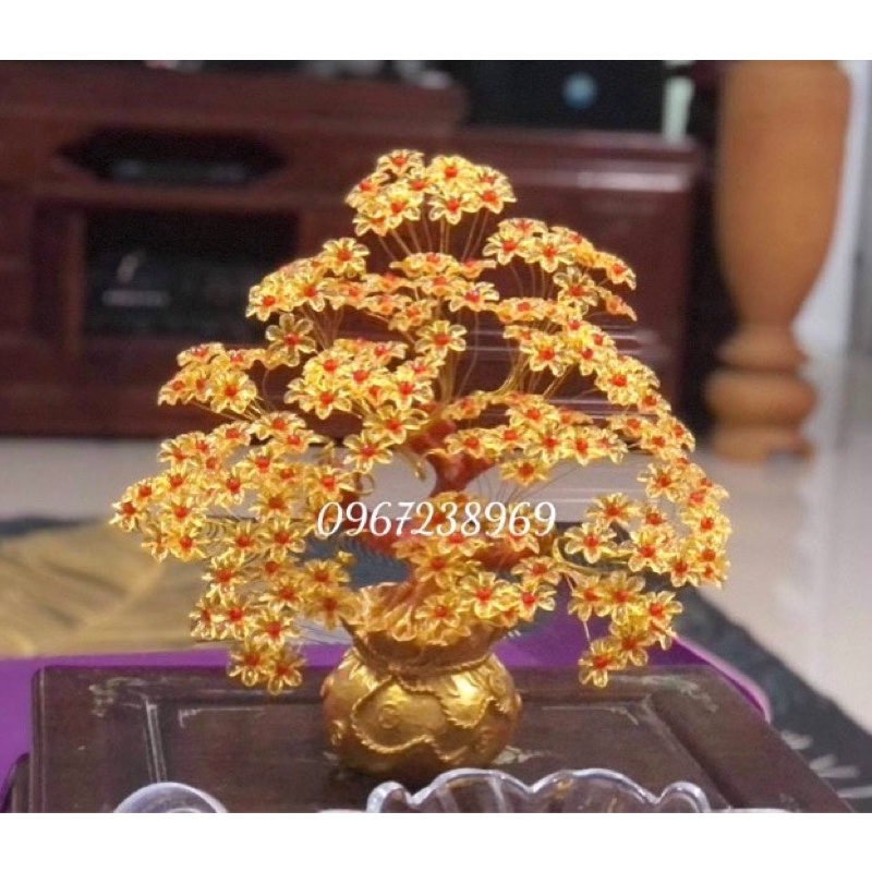 Cây Kim tiền cỡ tofreeshipCây tài lộc may mắn,handmade