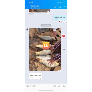 Mồi câu cá Lk Hòa