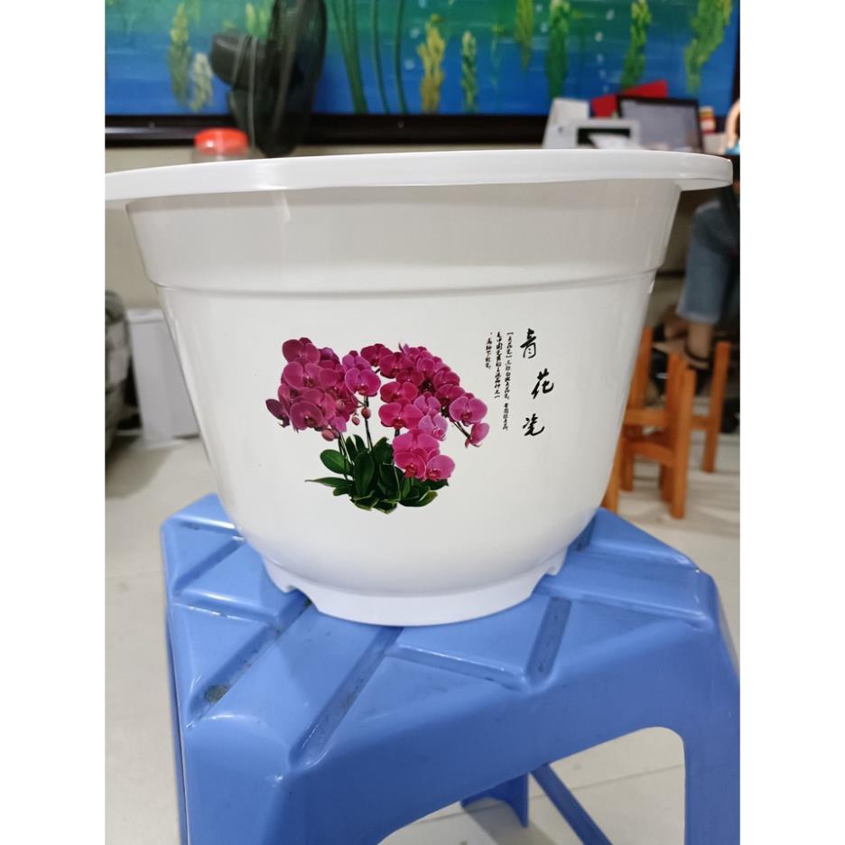 Chậu nhựa bốn Mùa trồng cây siêu đẹp, siêu rẻ