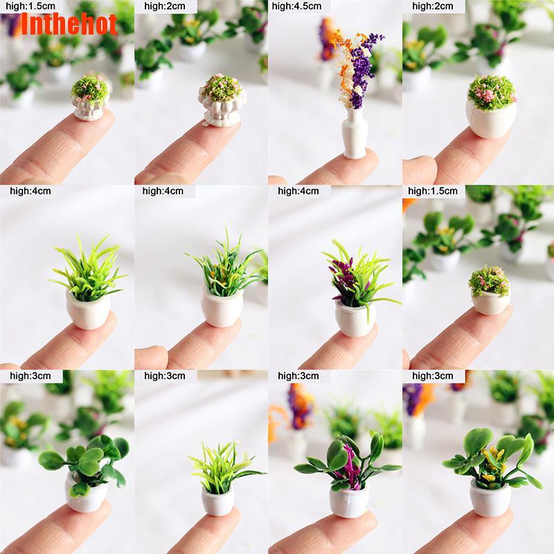 Chậu Nhựa Trồng Cây Mini 12 Kiểu 1: 12 Thân Thiện Với Môi Trường