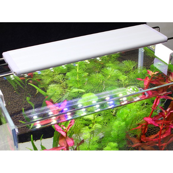 Đèn Led bể cá 3 chế độ màu cho bể thuỷ sinh