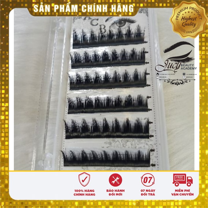Mi katun chính hãng siêu đẹp