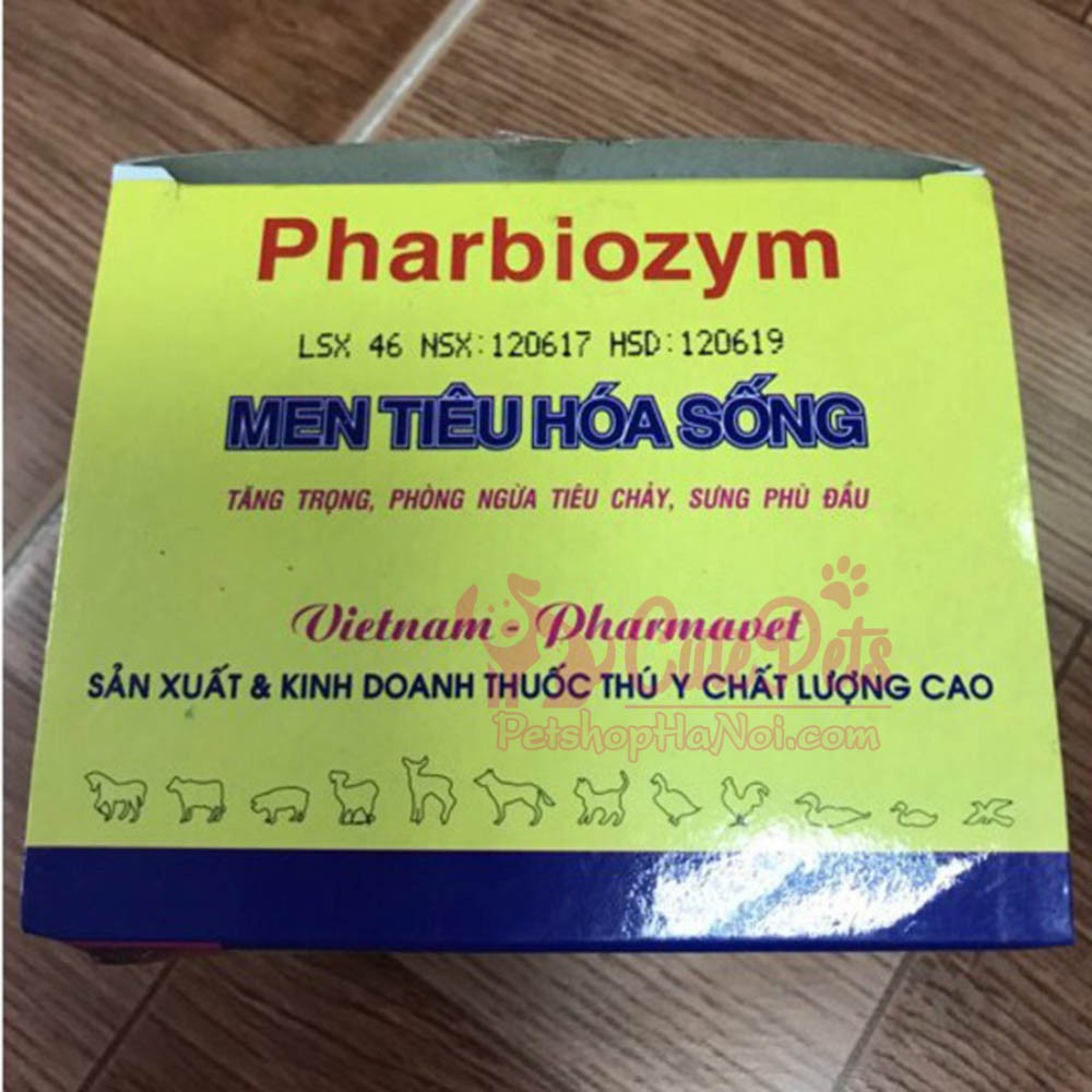 Men hỗ trợ tiêu hóa Pharbiozym 5g cho chó mèo - CutePets Phụ kiện thú cưng Pet Shop Hà Nội