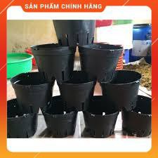 BỘ 10 CHẬU NHỰA TRỒNG LAN F23