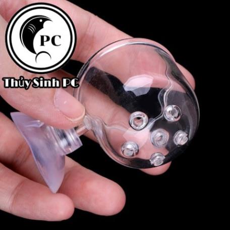 Cốc thủy tinh có lỗ chứa giun cho cá ăn , cốc thủy tinh có lổ trồng cây - phụ kiện thủy sinh cá tép cảnh giá tốt