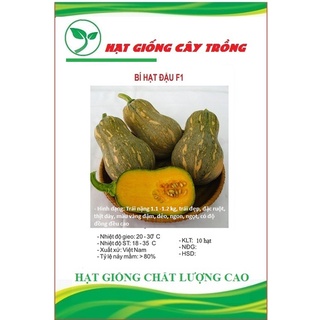 Hạt giống bí đỏ hạt đậu f1 ct09 - gói 10 hạt