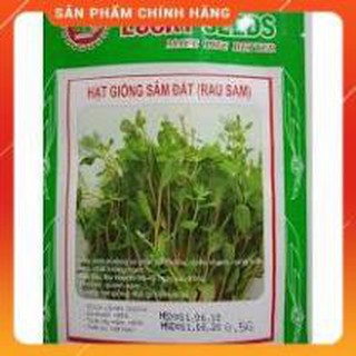 HẠT GIỐNG RAU SÂM ĐẤT- RAU SAM GÓI 0,5G