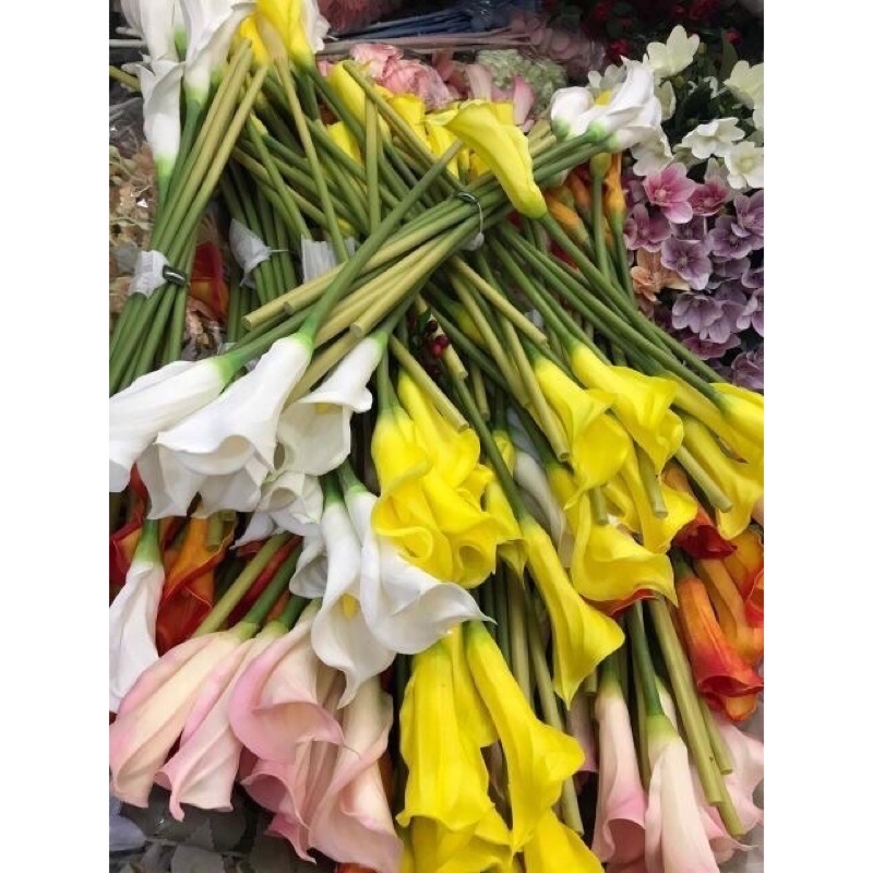 Hoa giả_hoa rum calla LiLy cao su  cao cấp cành dài 40cm siêu đẹp