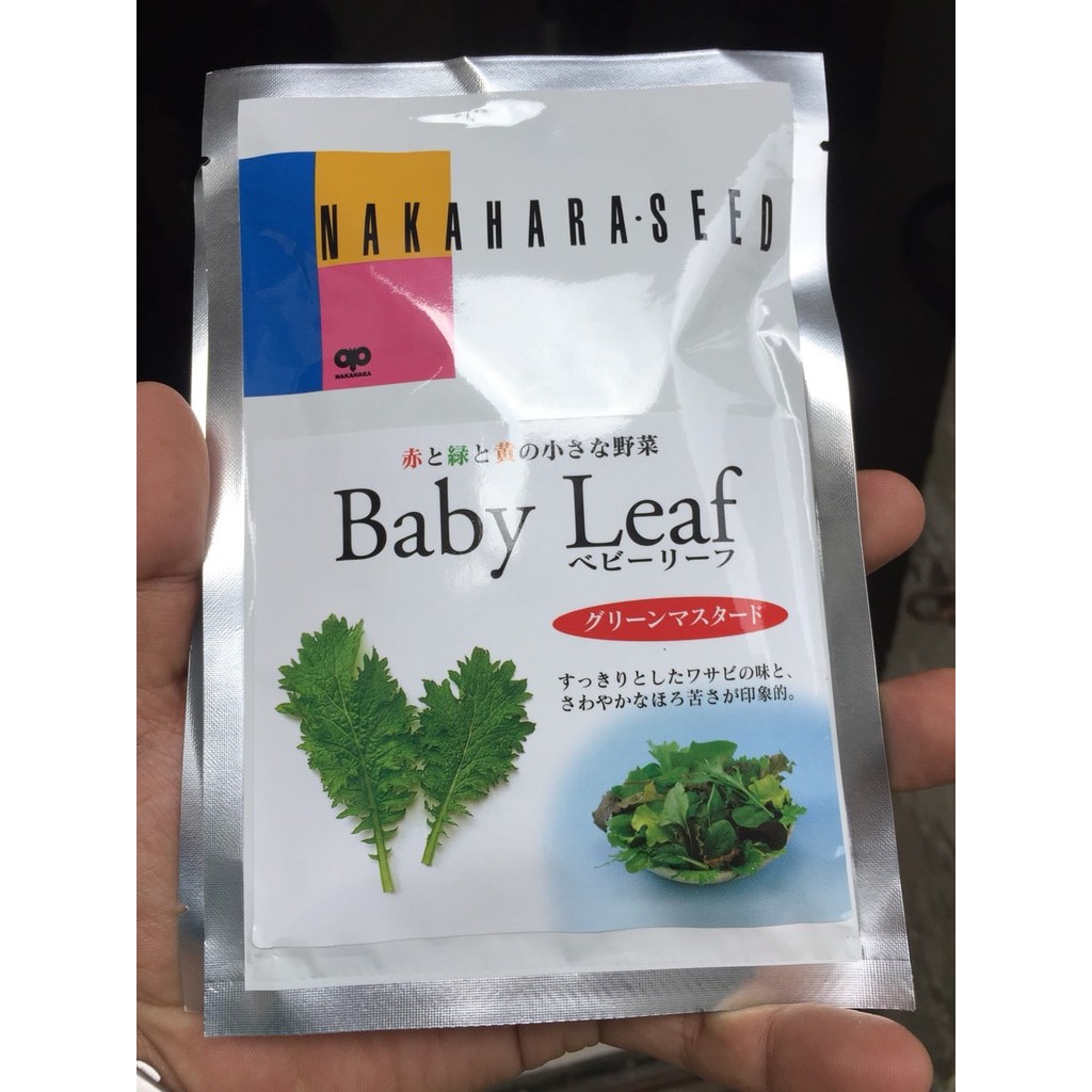 ATP Farm - Hạt giống cải MÙ TẠT XANH BABYLEAF - Nhật Bản