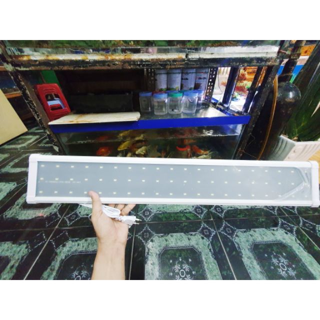 ĐÈN LED KẸP 2 BÊN HỒ CÁ MÀU TRẮNG VIPSUN 3 DÃY ĐÈN