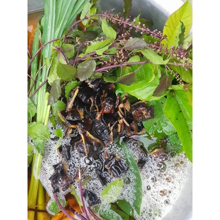 Nước gội bồ kết tươi chai 1 lít