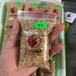 Hạt giống Cỏ Mèo