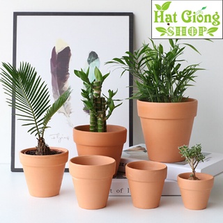 Chậu đất Nung Đỏ mini , Chậu gờ