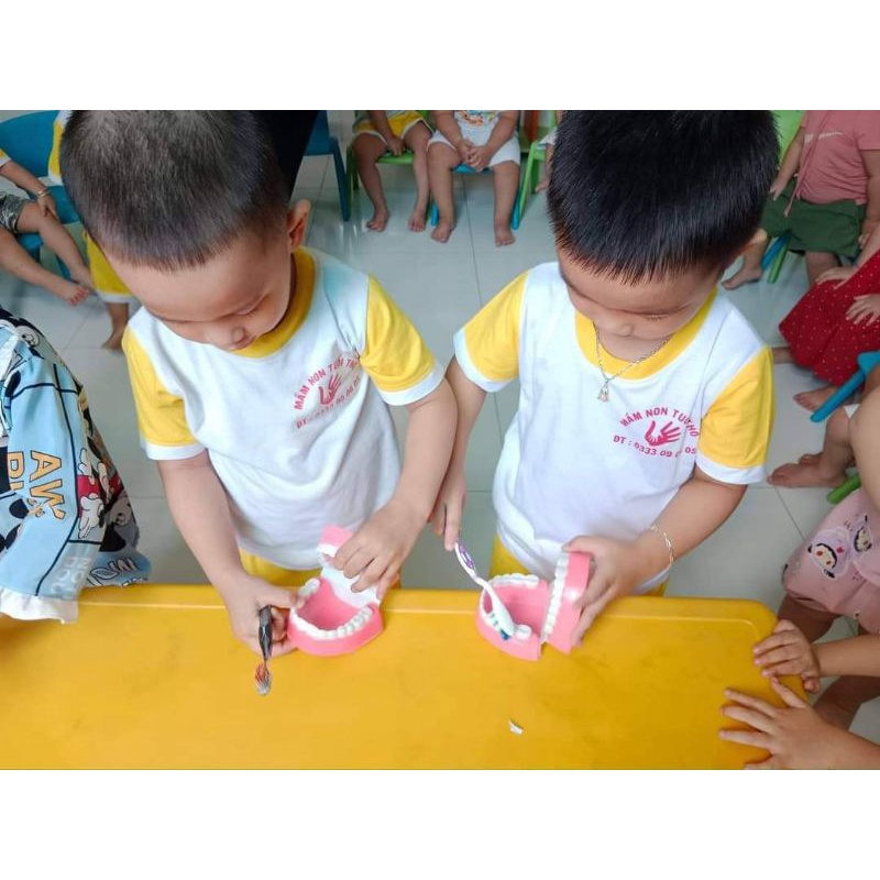 Mô hình hàm răng mô tả hàm răng cho bé thực hành kĩ năng đánh răng - Đồ dùng mầm non