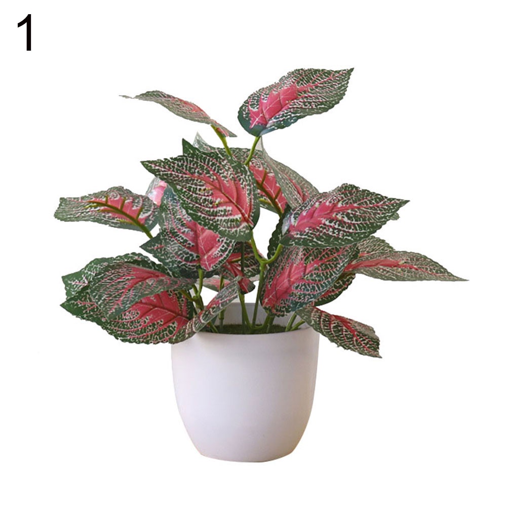 Chậu Cây Giả Để Bàn Trang Trí Nhà Cửa / Văn Phòng / Tiệc Cưới