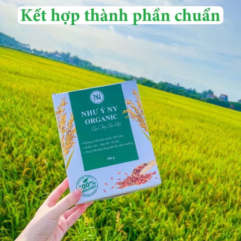 [Tăng 2-5kg] BỘT TĂNG CÂN NHƯ Ý NY