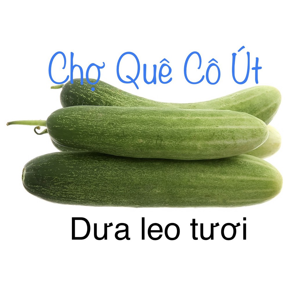 DƯA LEO 500GR