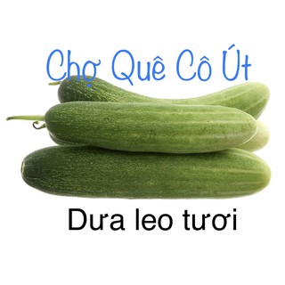 Dưa leo 500gr