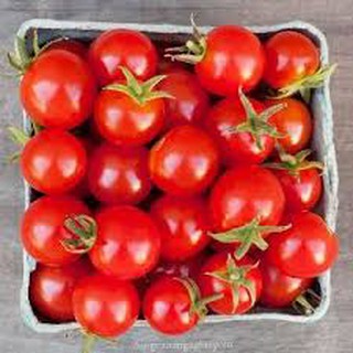 Hạt giống cà chua bi cao đỏ (30H)
