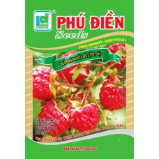 [Rẻ Vô Địch] hạt giống Quả mâm xôi đỏ