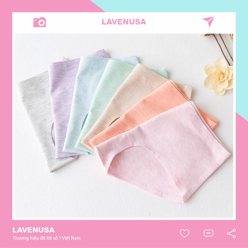 Quần lót nữ cotton cao cấp cạp ép không viền kháng khuẩn siêu đẹp QL07