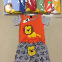 Combo 5 bộ bé trai nhiều mẫu