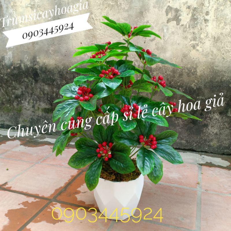 Cây Kim Ngân Lượng cao 85cm kèm chậu - Cây Giả