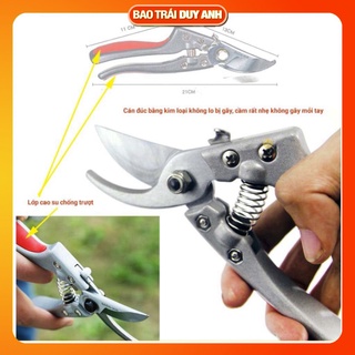 Kéo cắt cành mini nhật bản SADA 210 Tặng kèm lò xo - Bao Trái Cây Duy Anh