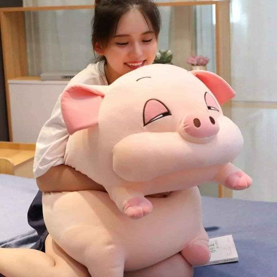 Heo mắt híp 90 cm